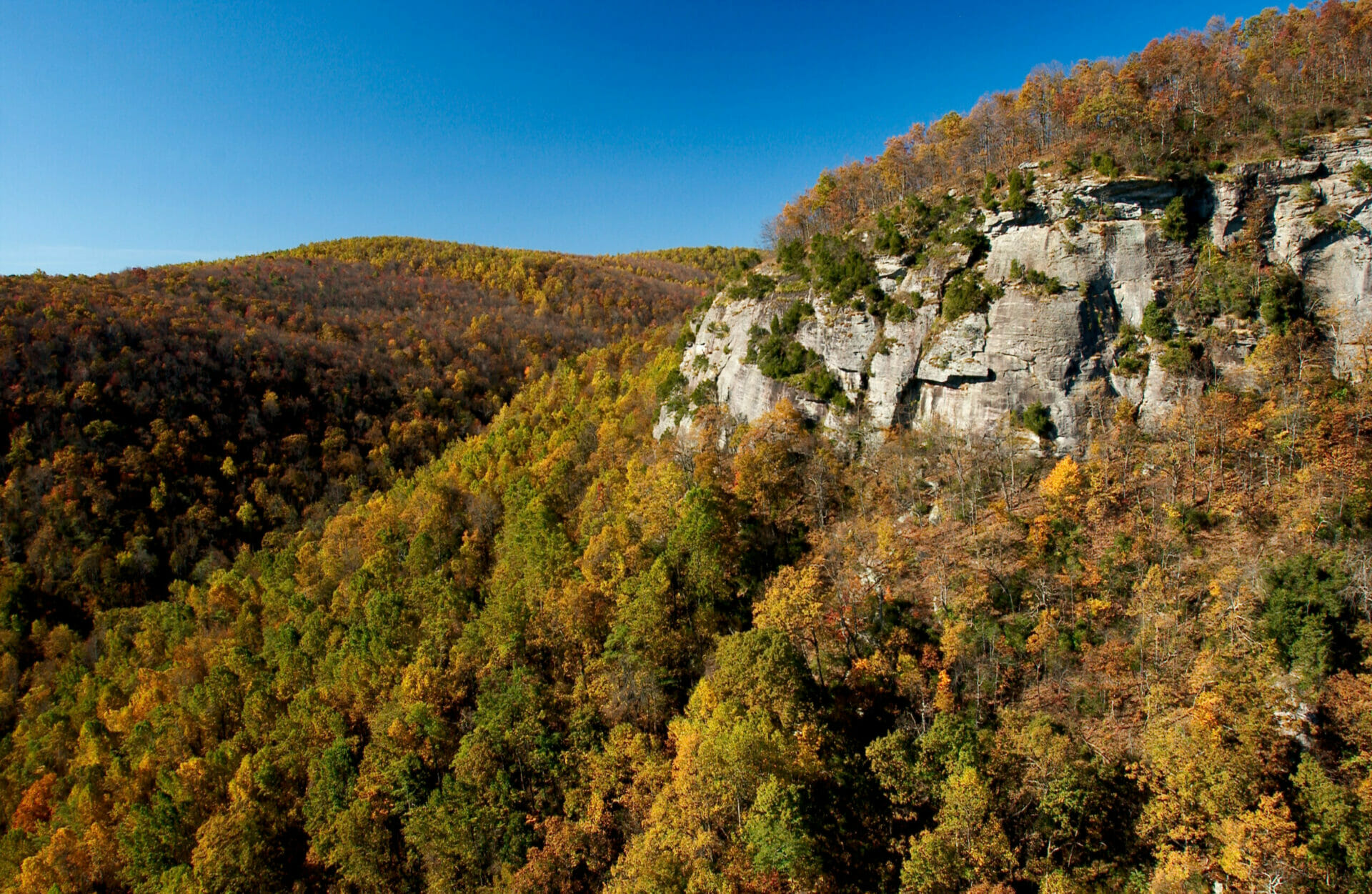 Western North Carolina mountain views with fall foliage