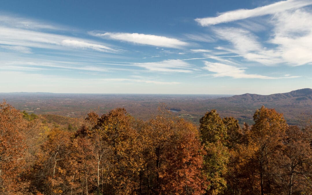 5 Can’t-Miss Sights & Experiences Around Mill Spring