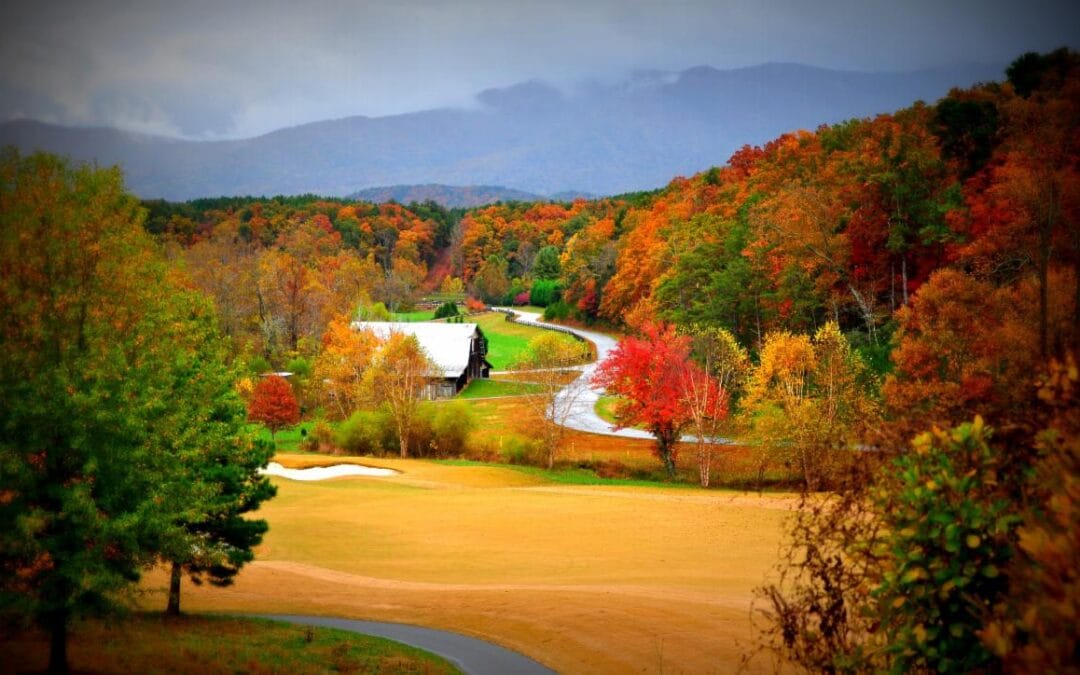 Bright’s Creek November 2022 Newsletter