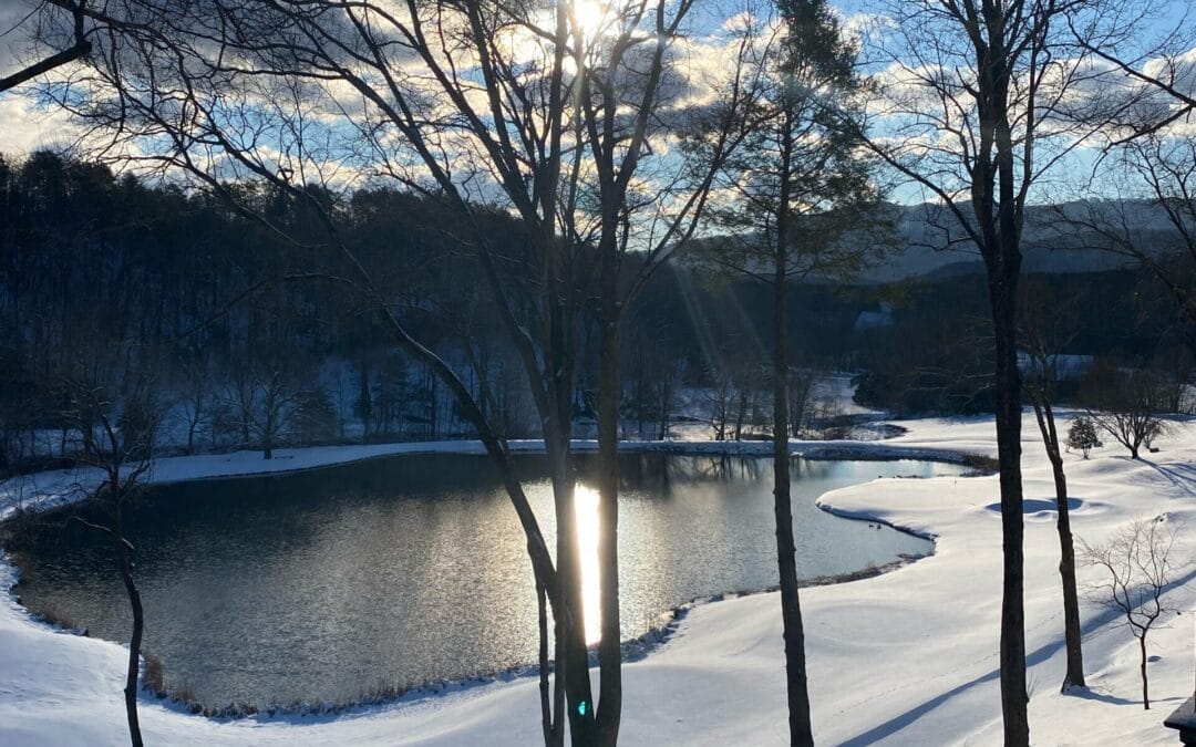 The Magic of Mill Spring: Celebrate the Holiday Season the Local Way