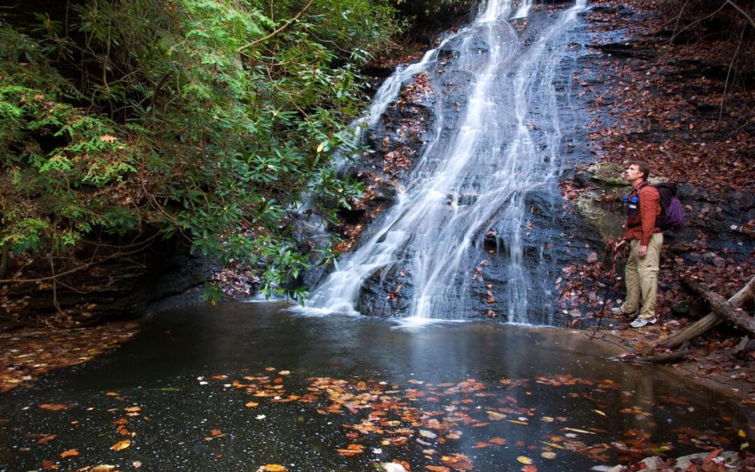 Bright’s Creek February 2023 Newsletter