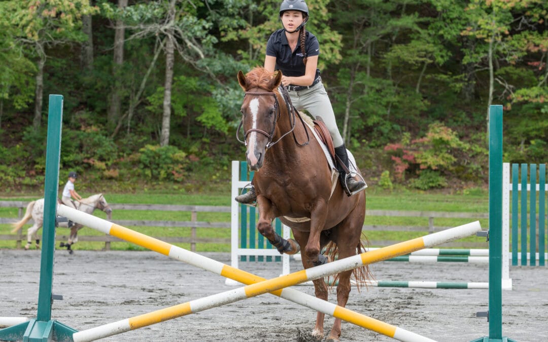 All About the Equestrian Country