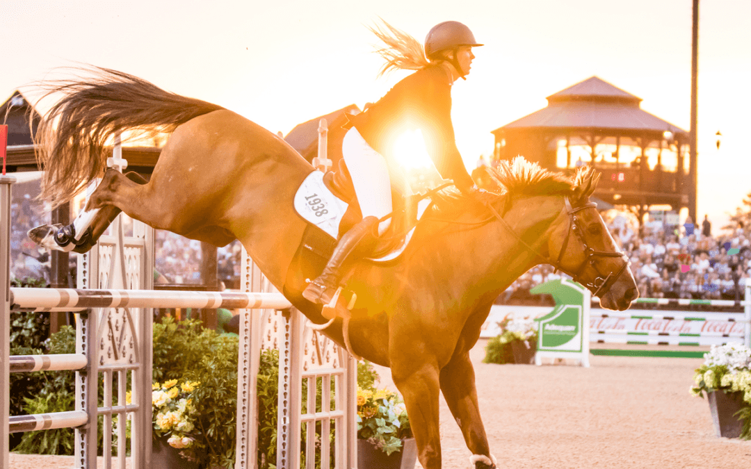 Tryon International: A Haven for Equestrian Enthusiasts