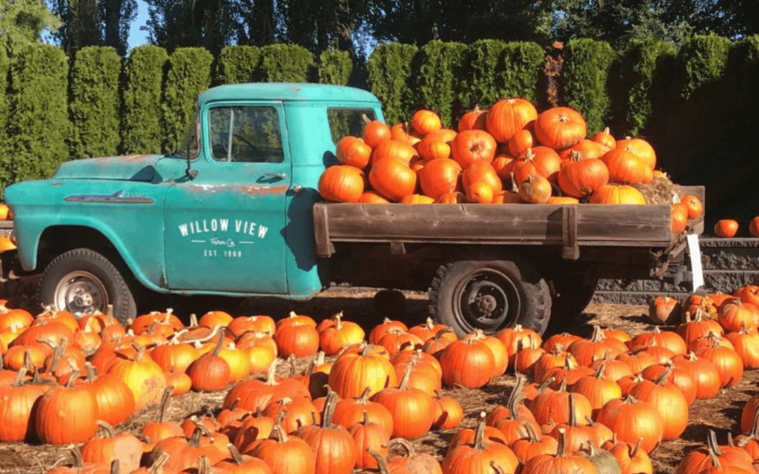 Fall Into Family Fun: Autumn Festivals Near Bright’s Creek