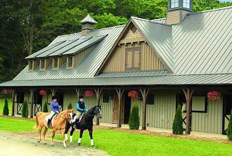 BC-home-carousel-equestrian