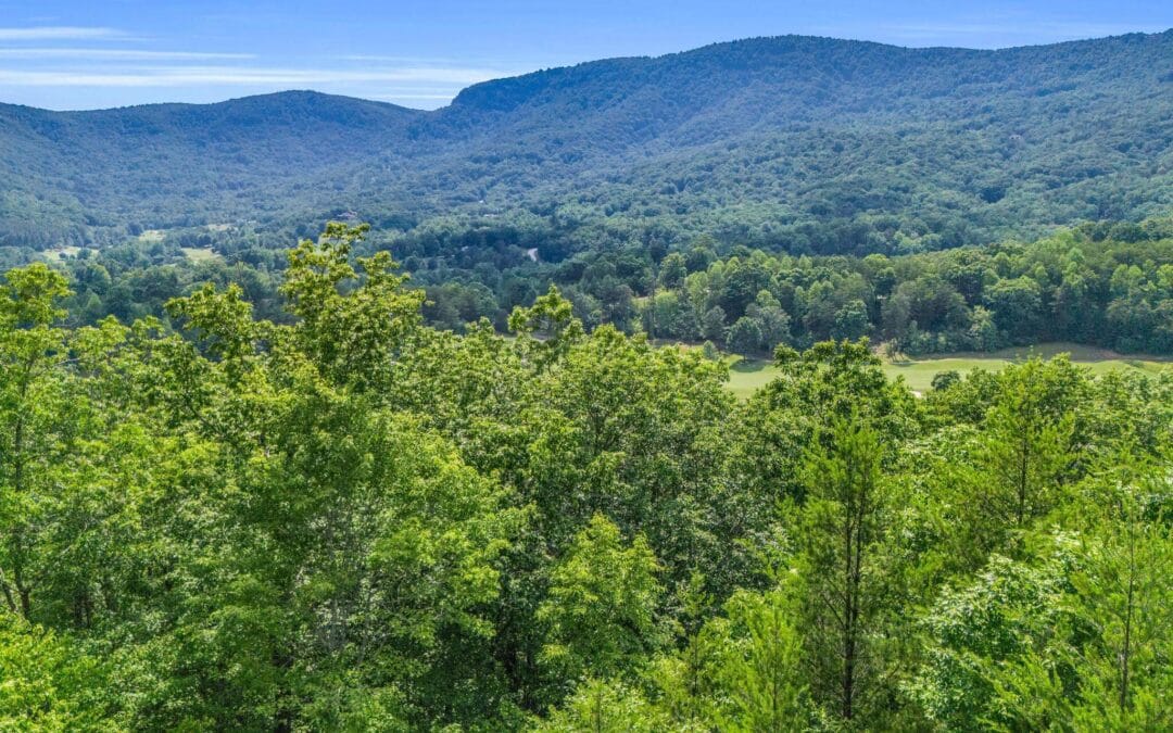 Additional Homesite Inventory