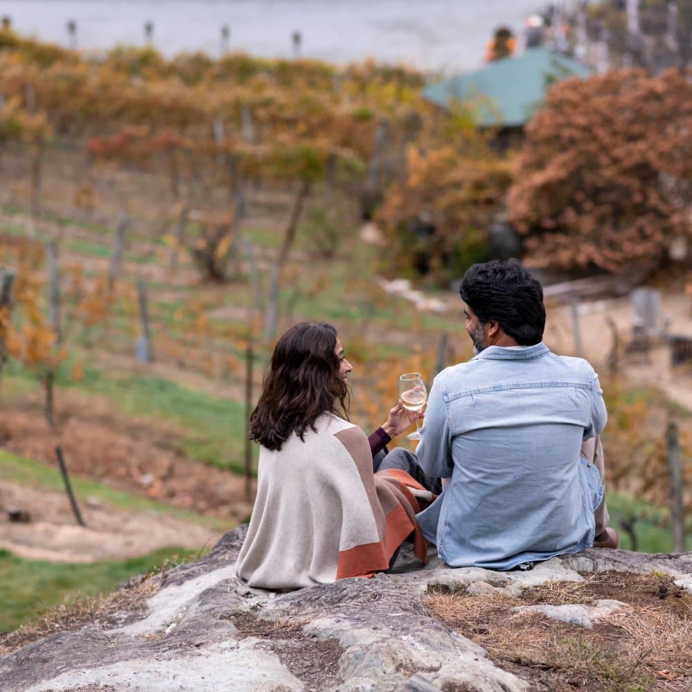 NC Wine Trail