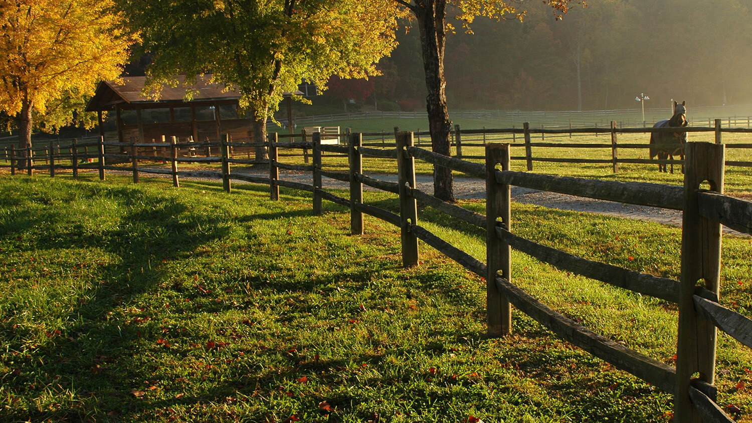 Horse pastures at the Bright's Creek Equestrian Center in Mill Spring, NC