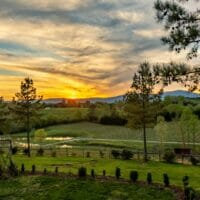 Our Favorite 5 Vineyards and Wineries Near Mill Spring, NC