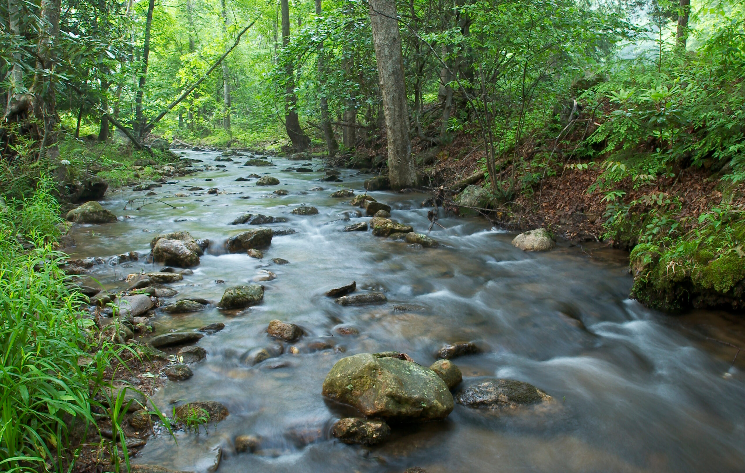Peaceful streams run through Bright's Creek Club