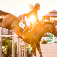 Tryon International: A Haven for Equestrian Enthusiasts